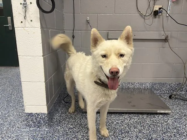 Max