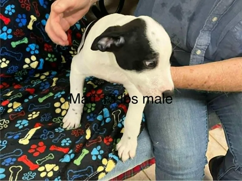 Matt thumbnail 6