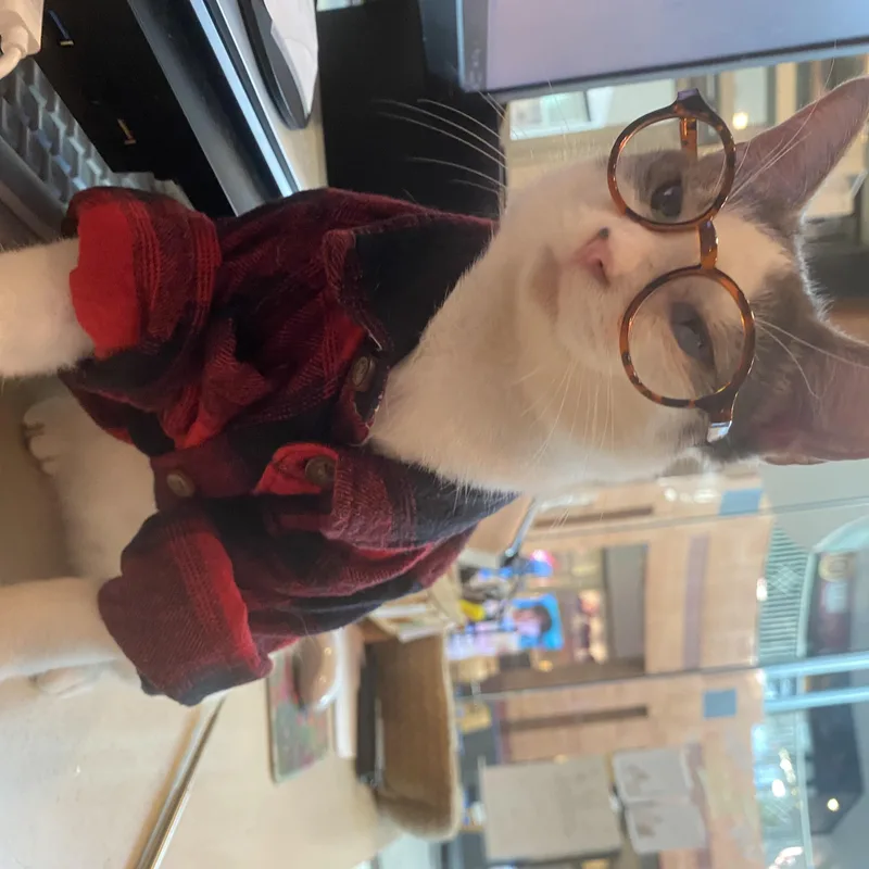 Finnigan thumbnail 4