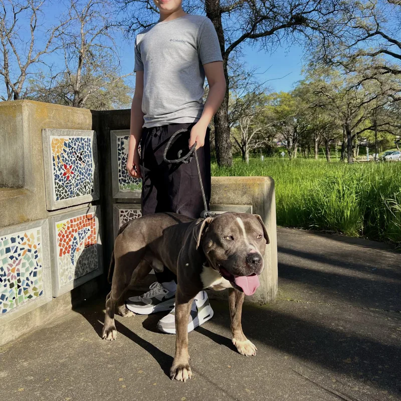 Dunkaroo thumbnail 5