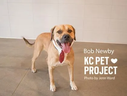 Bob Newby thumbnail 2