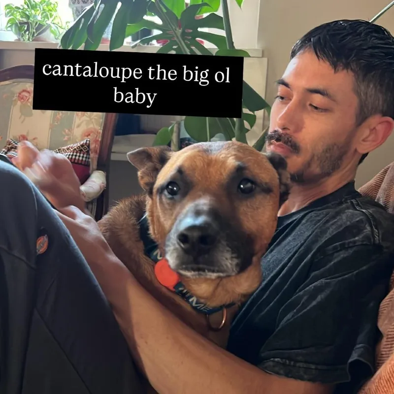 Cantaloupe thumbnail 3