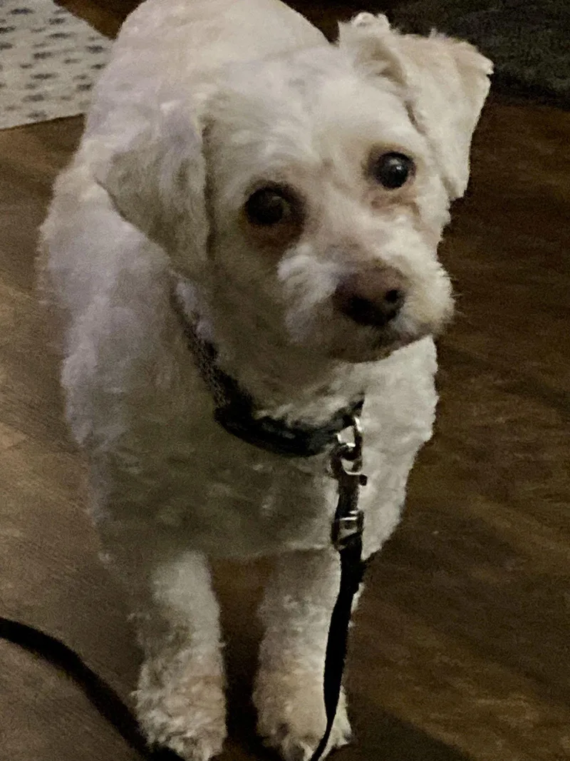 Wesley  Special Needs