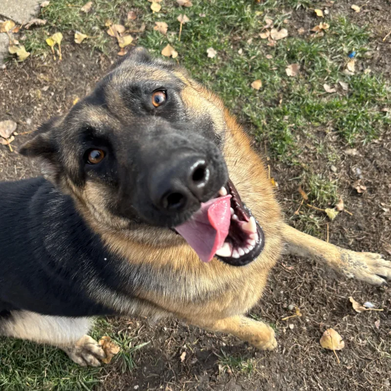 Karma Bonded W Kasper thumbnail 2