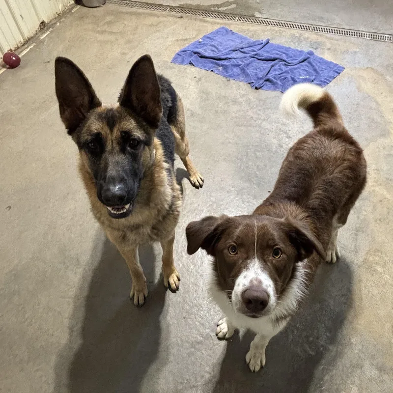 Karma Bonded W Kasper thumbnail 4