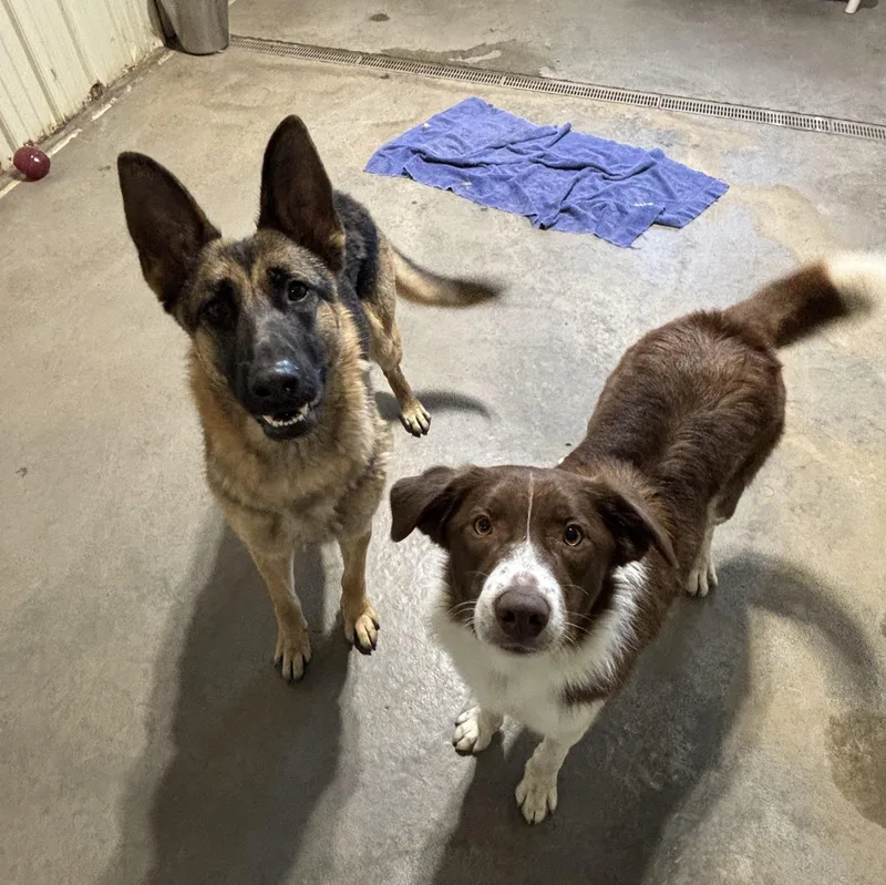 Karma Bonded W Kasper