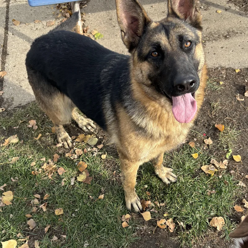 Karma Bonded W Kasper thumbnail 5