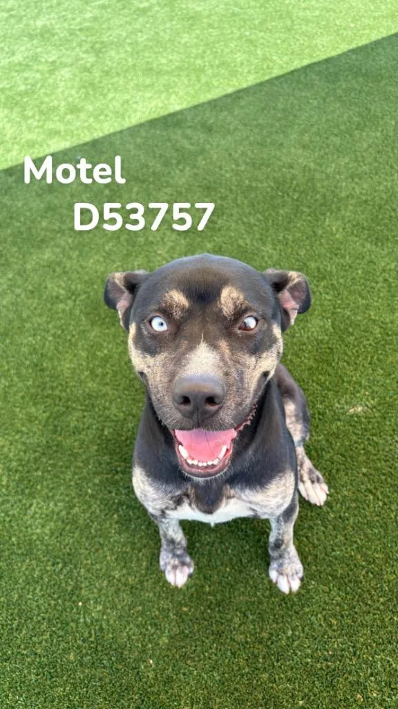 Motel thumbnail 2