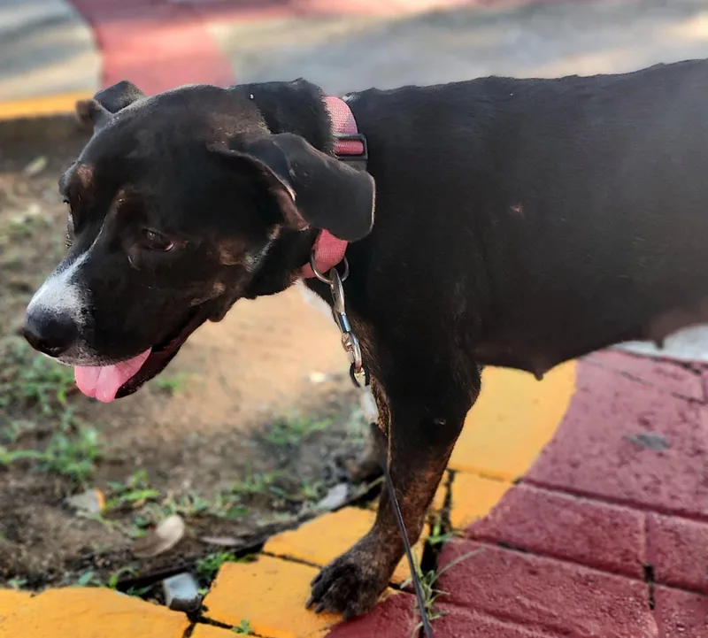 Star Magic "your Super thumbnail 2