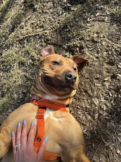 Fernando thumbnail 2