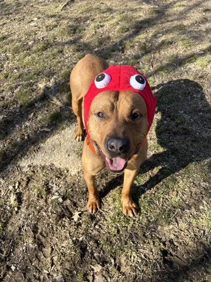 Fernando thumbnail 3