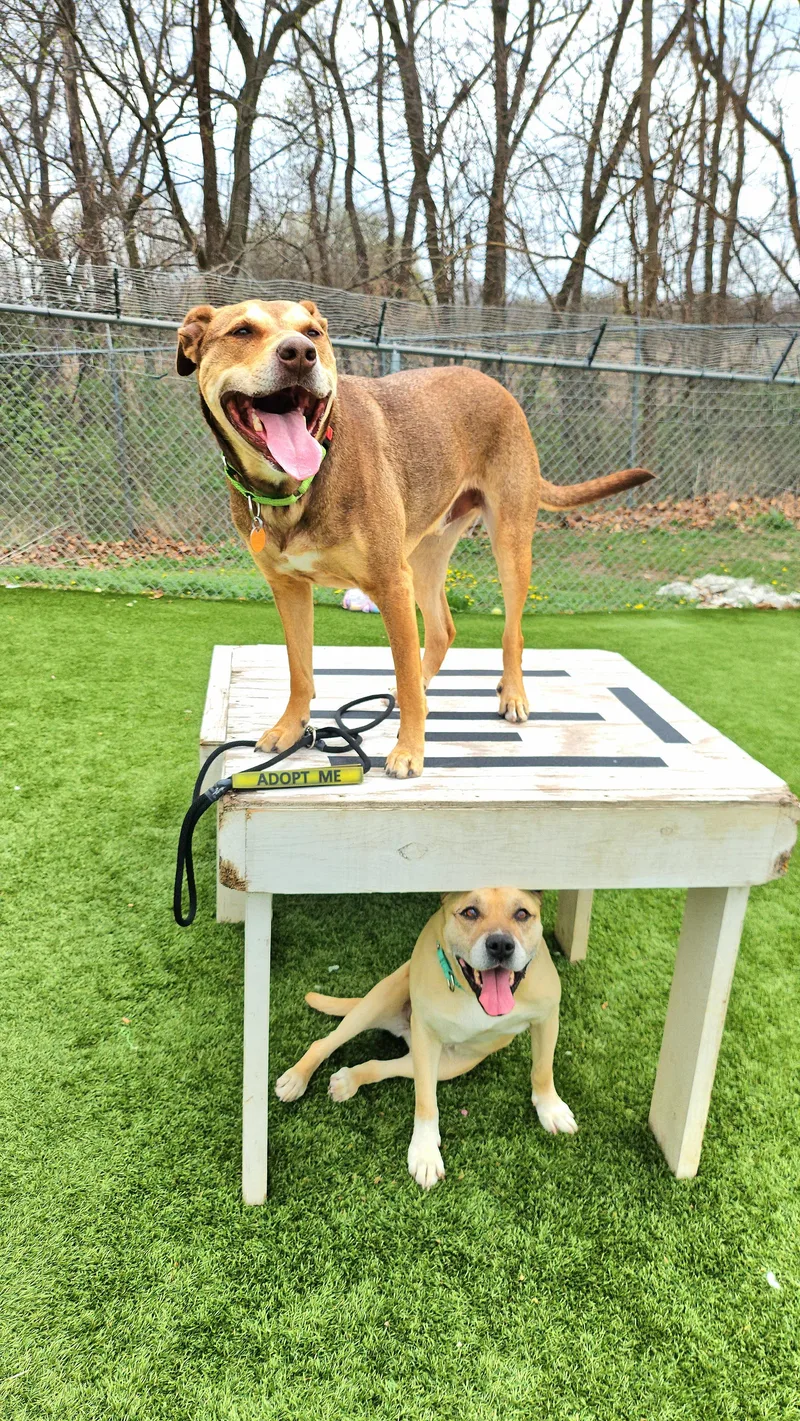 Sunshine thumbnail 2