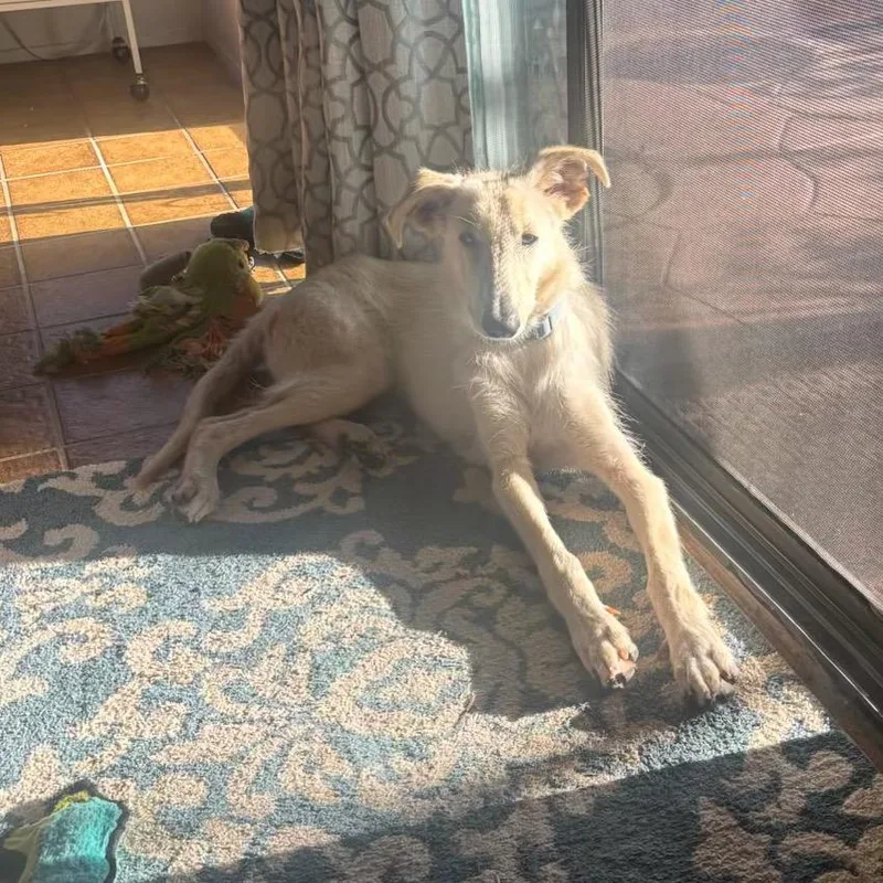 Greg Aka Buddy thumbnail 2