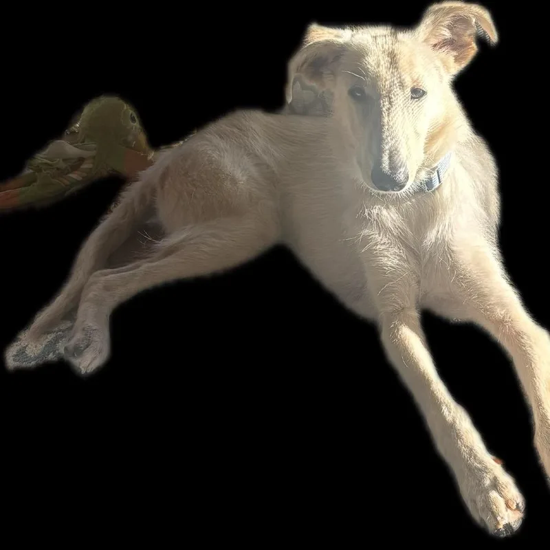 Greg Aka Buddy thumbnail 3