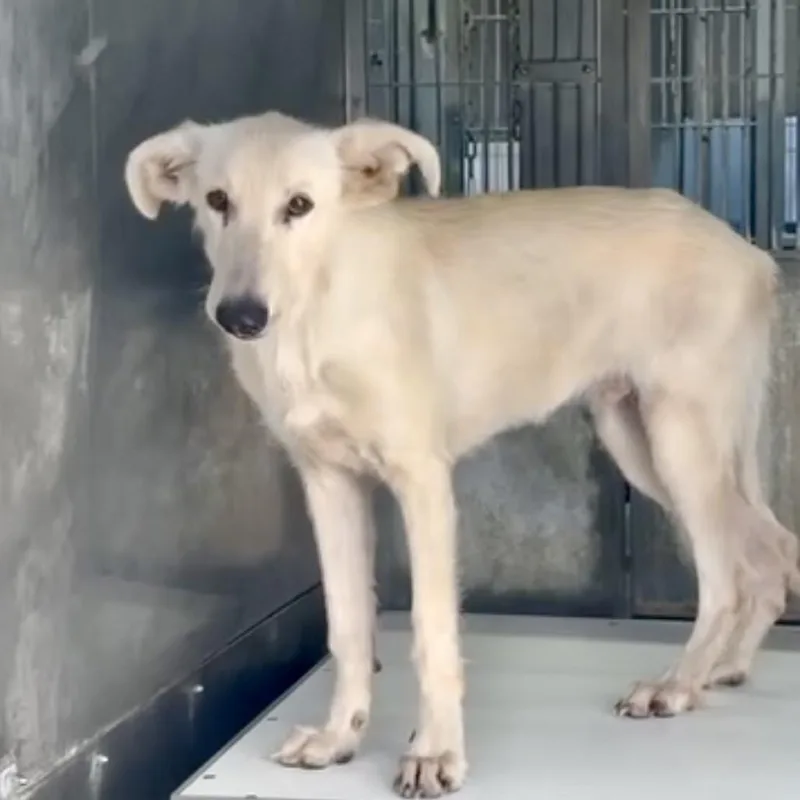 Greg Aka Buddy thumbnail 4