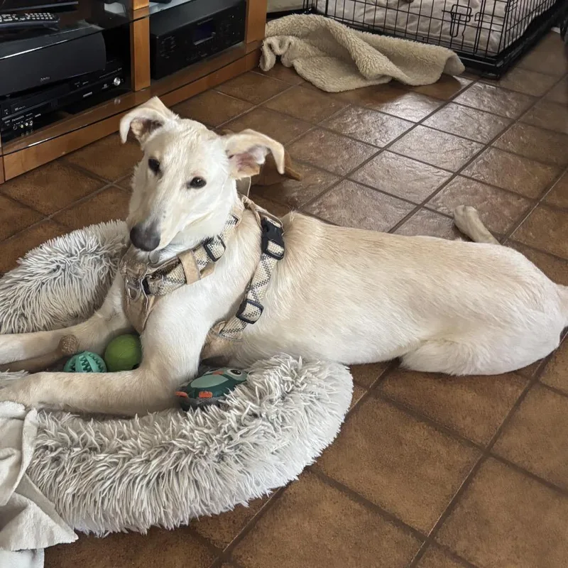 Greg Aka Buddy thumbnail 5