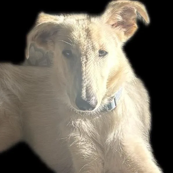 Greg Aka Buddy thumbnail 6