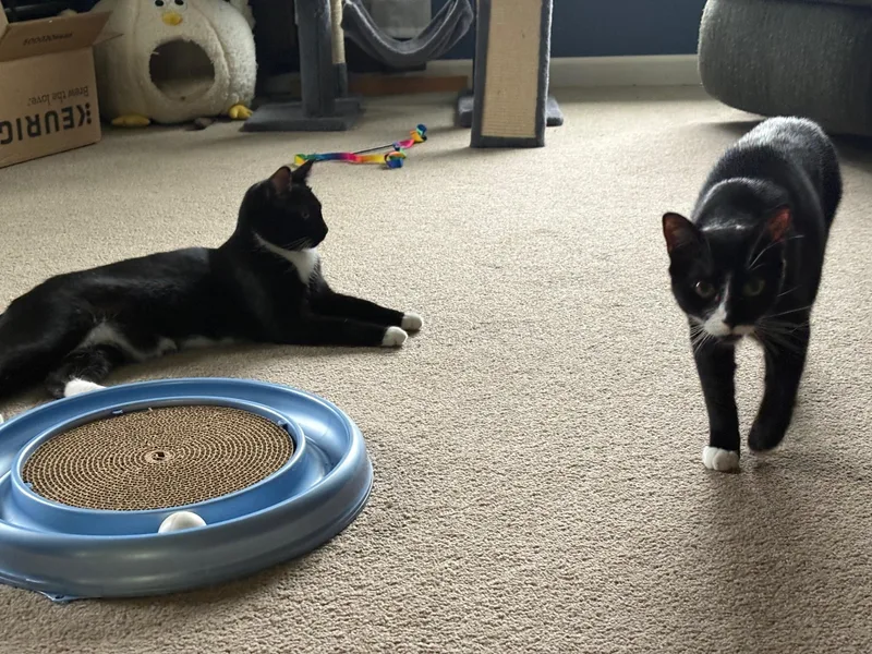 Dilly & Dally