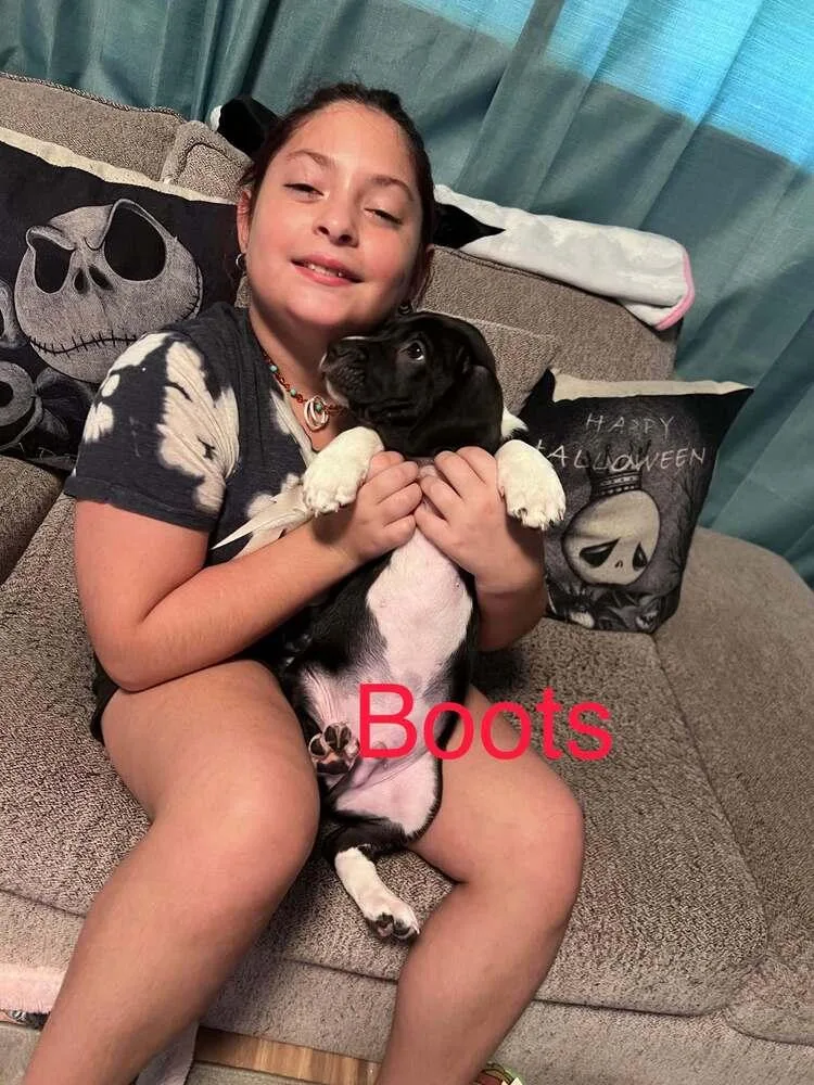Boots thumbnail 3