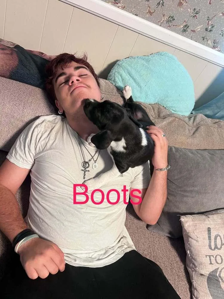 Boots thumbnail 5