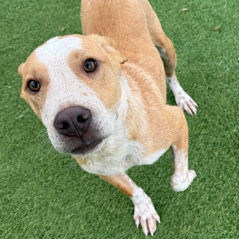 Bruce Aka Guido thumbnail 3