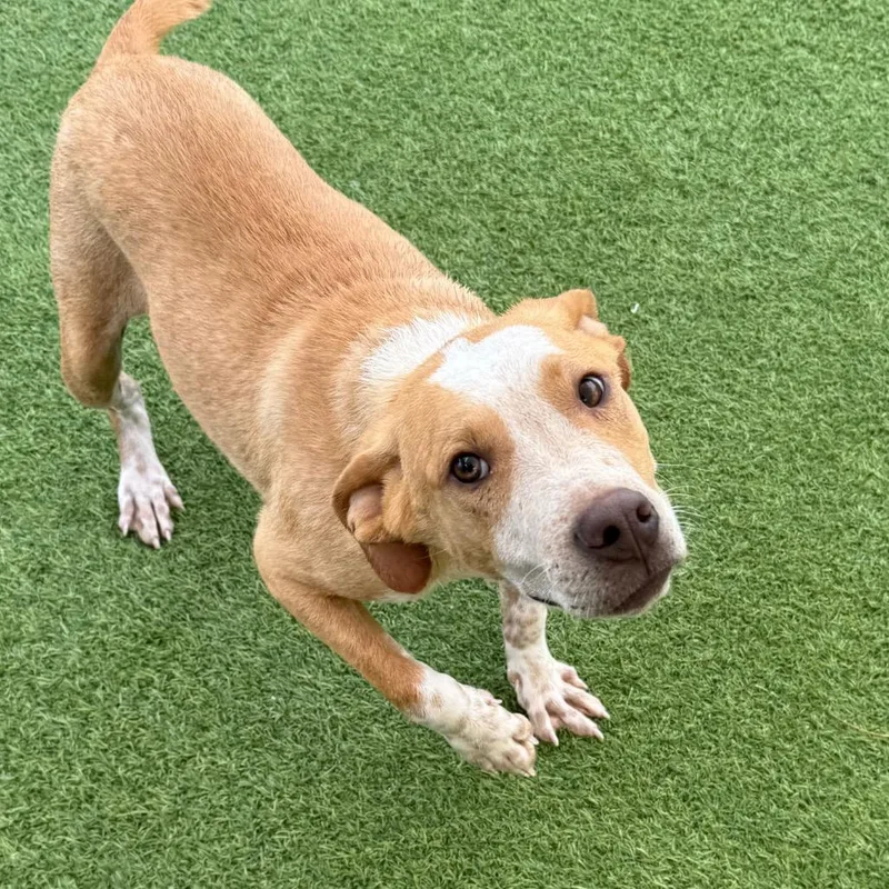 Bruce Aka Guido thumbnail 4