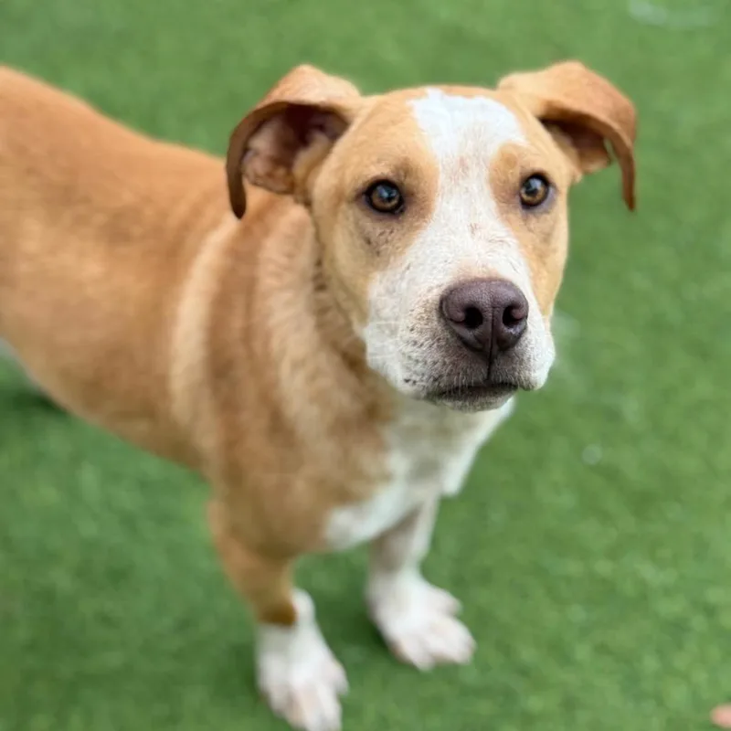 Bruce Aka Guido thumbnail 5