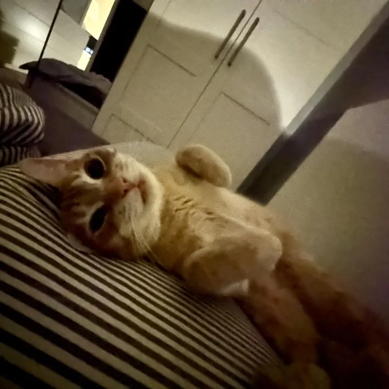 Treasure thumbnail 2