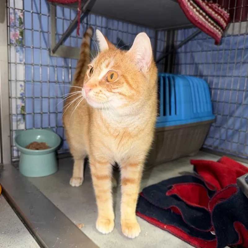 Treasure thumbnail 3