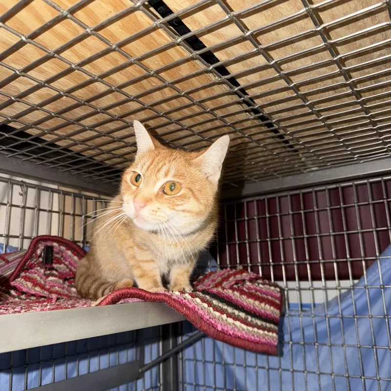 Treasure thumbnail 4