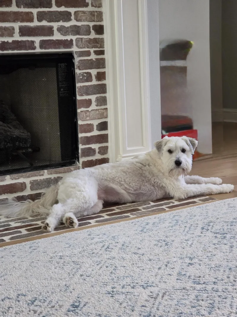 Charlie thumbnail 3