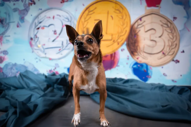 Guinness thumbnail 3