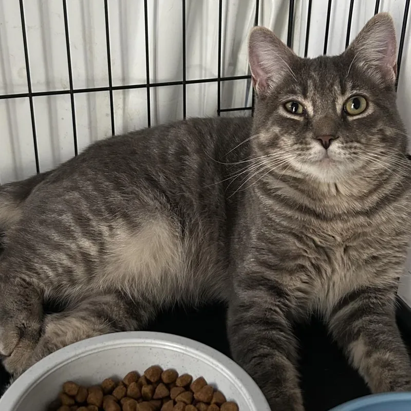 Max