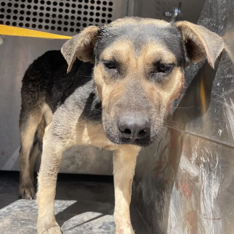 Mary Margaret thumbnail 2