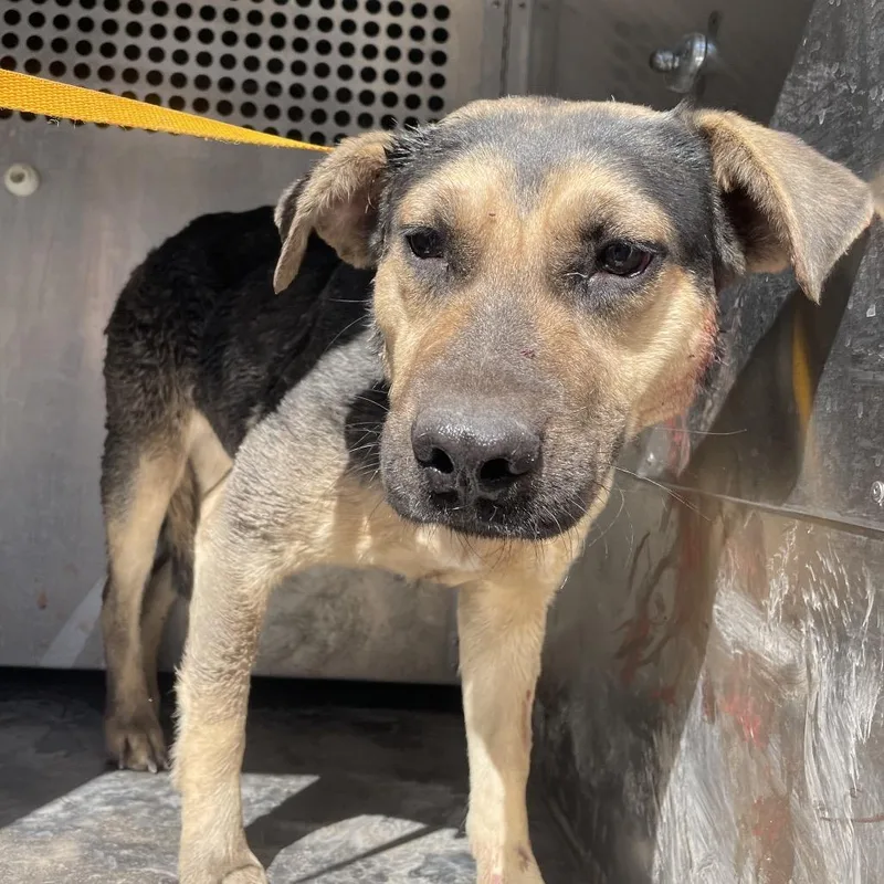 Mary Margaret thumbnail 3