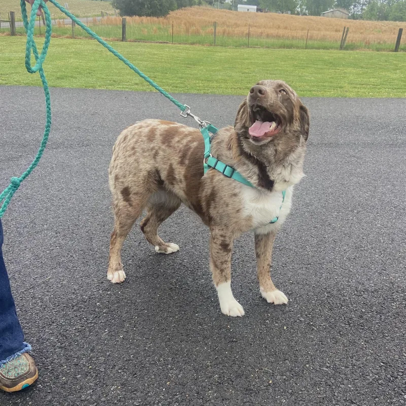 Mandy Mindful thumbnail 3