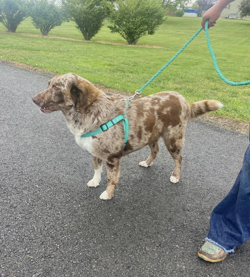 Mandy Mindful thumbnail 4