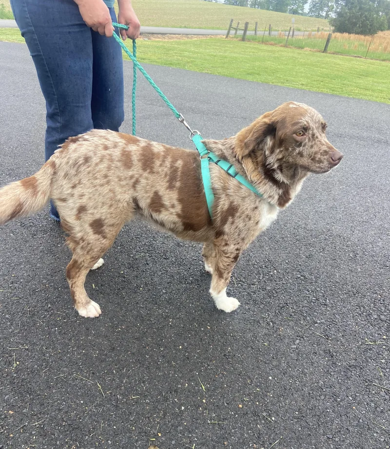 Mandy Mindful thumbnail 5