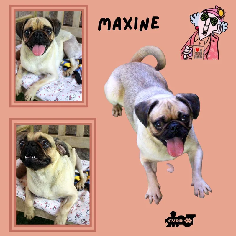 Maxine