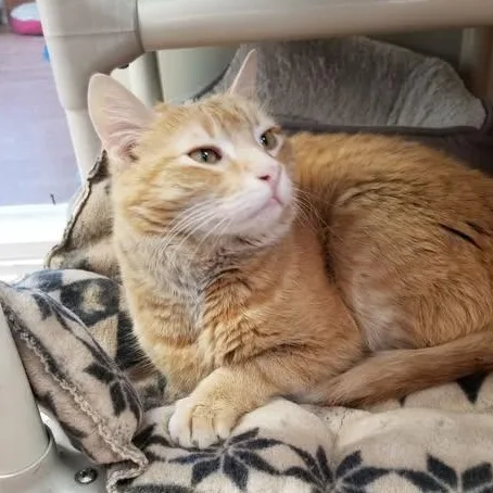 O'malley thumbnail 2