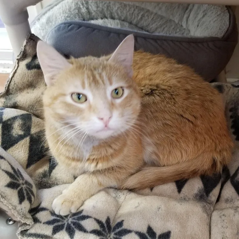 O'malley thumbnail 3