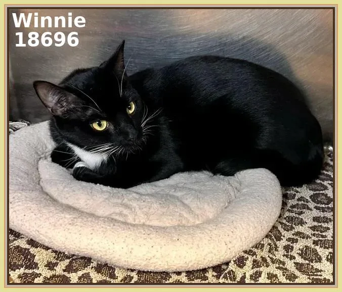 Winnie thumbnail 4