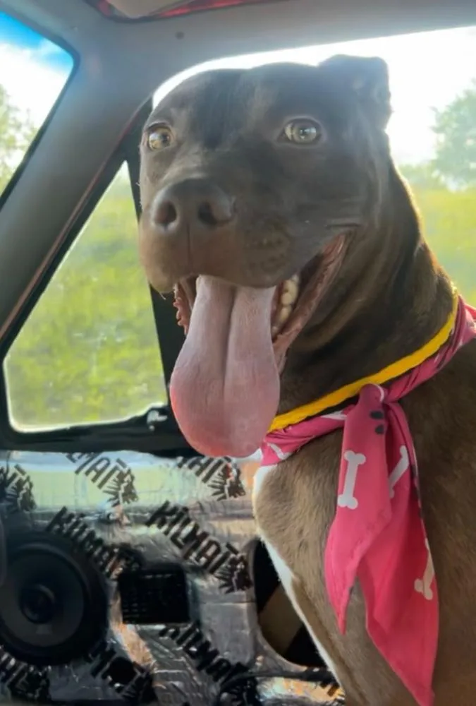 Anastasia thumbnail 4