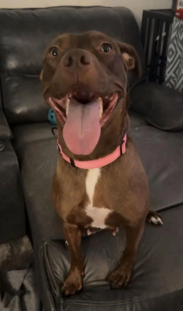 Anastasia thumbnail 5