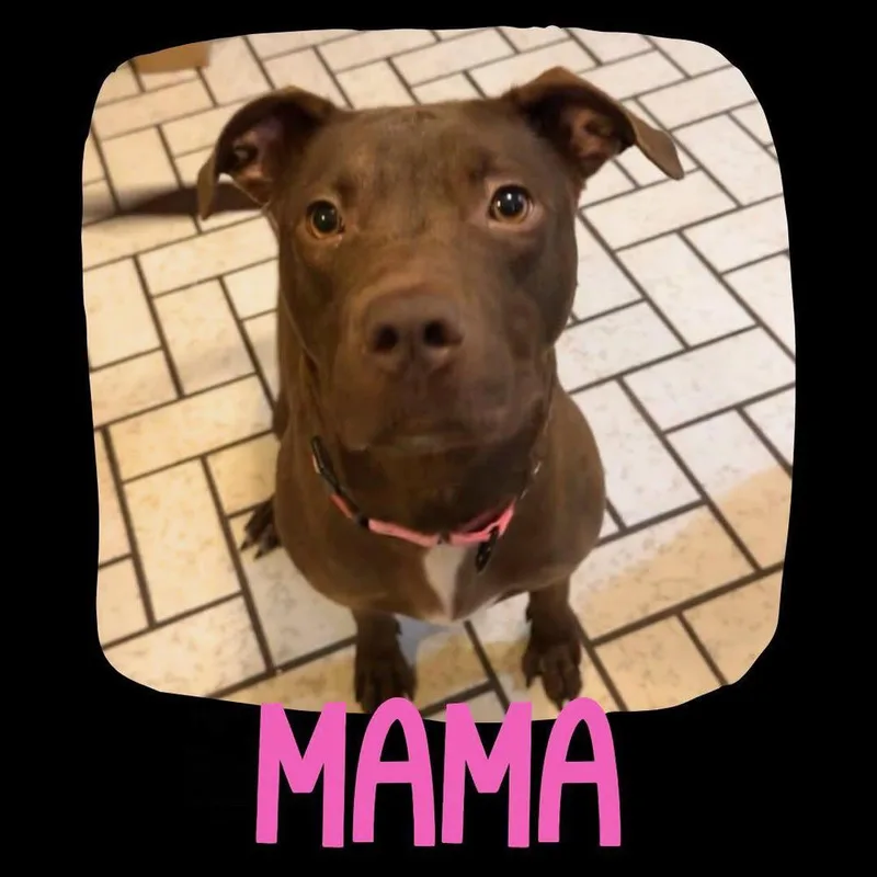 Anastasia thumbnail 6