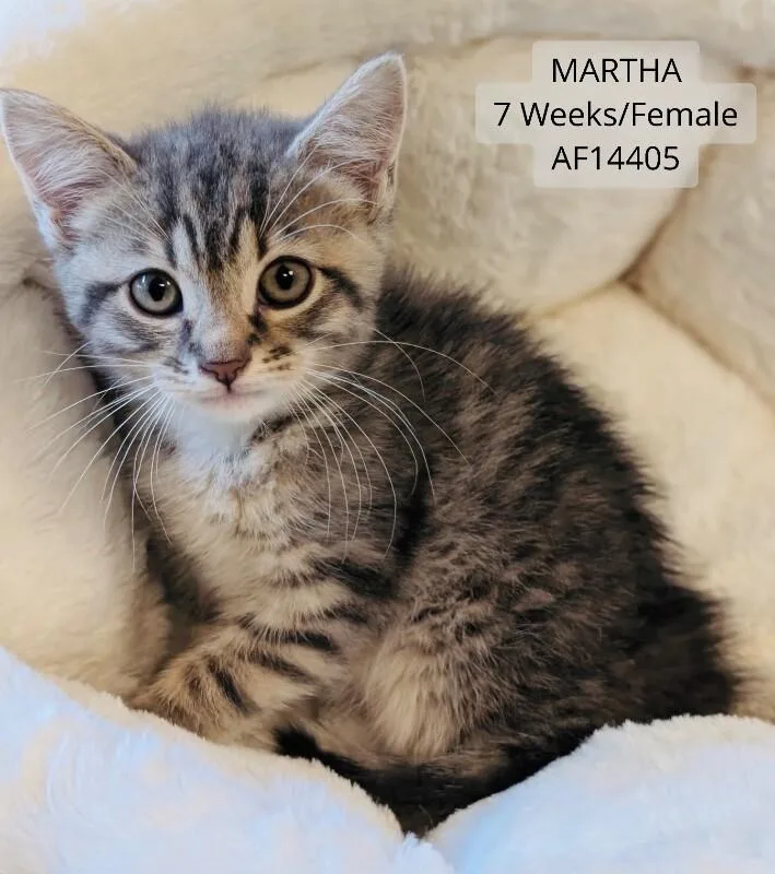 Martha thumbnail 2