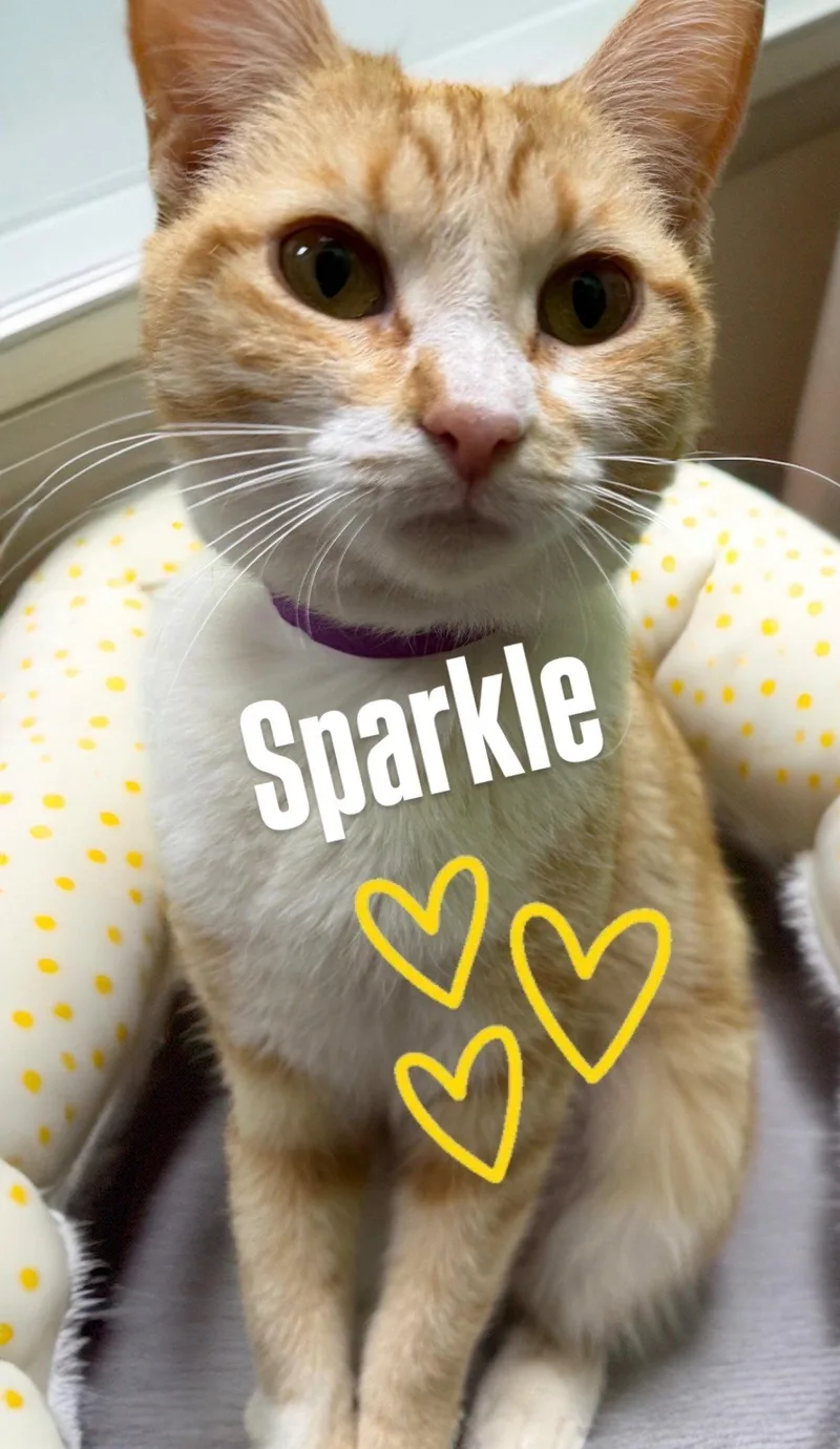 Sparkle
