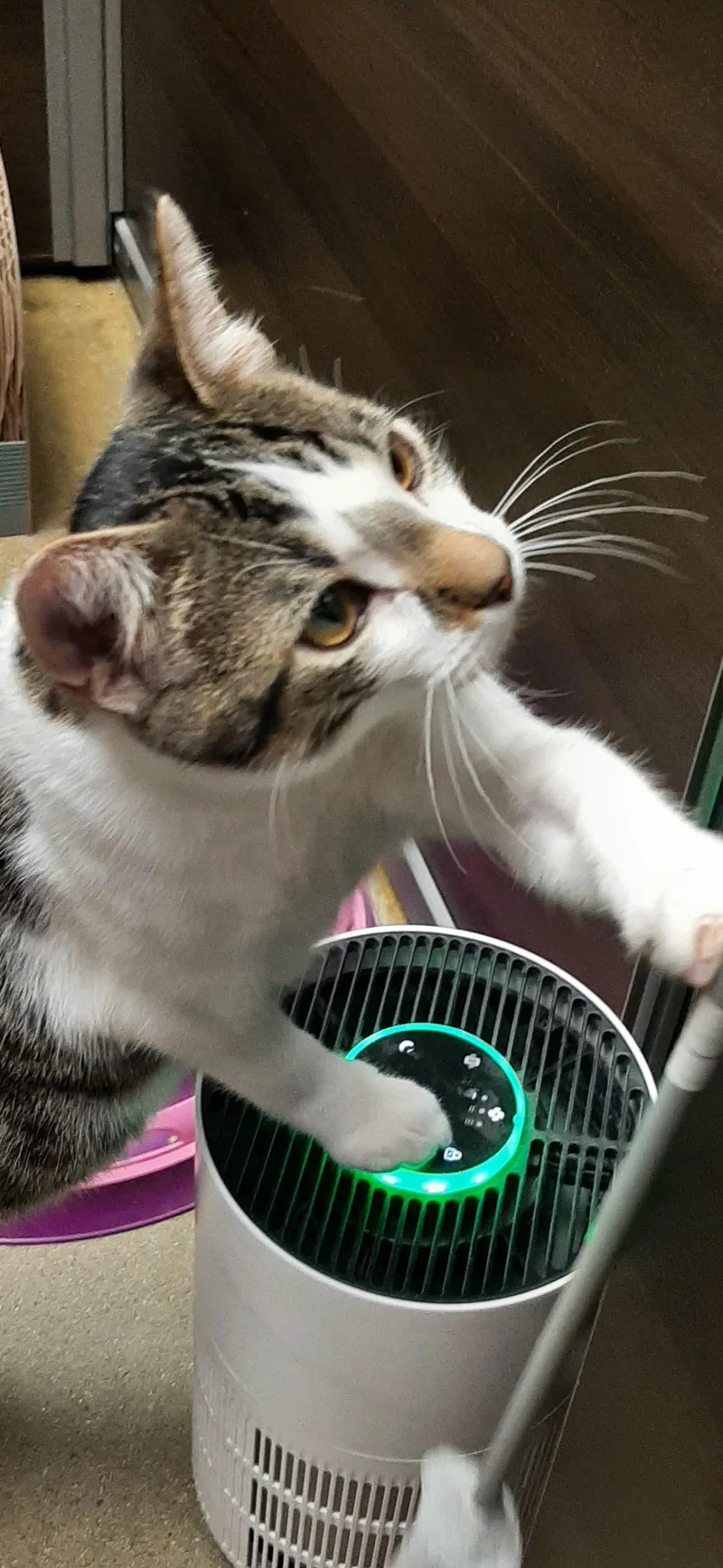 Andy thumbnail 2
