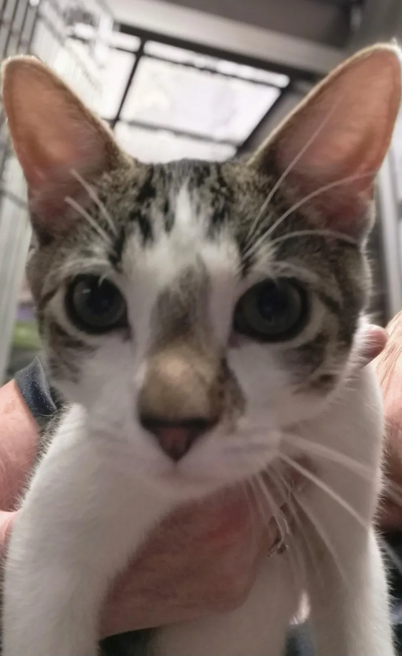 Andy thumbnail 4