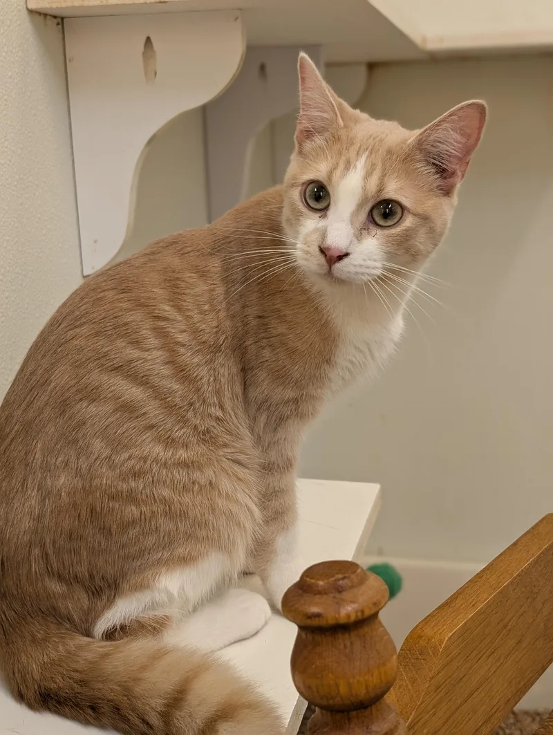 Chattanooga thumbnail 2